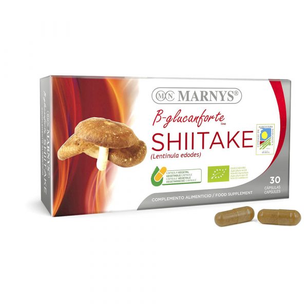 Cogumelo Shitake Bio 400 mg 30 cápsulas – Marnys