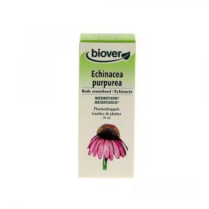 Echinacea purpurea da biover