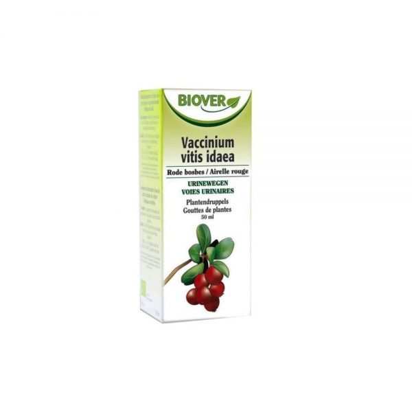 Arando Vermelho Vaccinium Vitis Idaea Frasco 50 ml - Biover