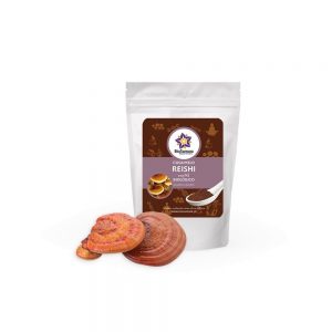Cogumelo Reishi en polvo 100g - BioSamara
