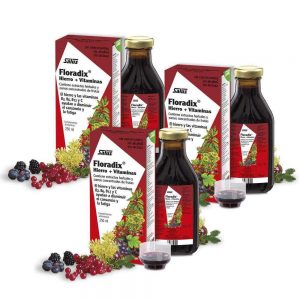 Floradix Pack 250 ml - Salus