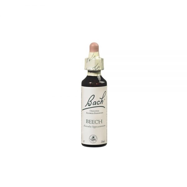 Florais de Bach Beech 20 ml