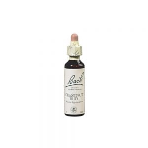 Florais de Bach Chestnut Bud 20 ml