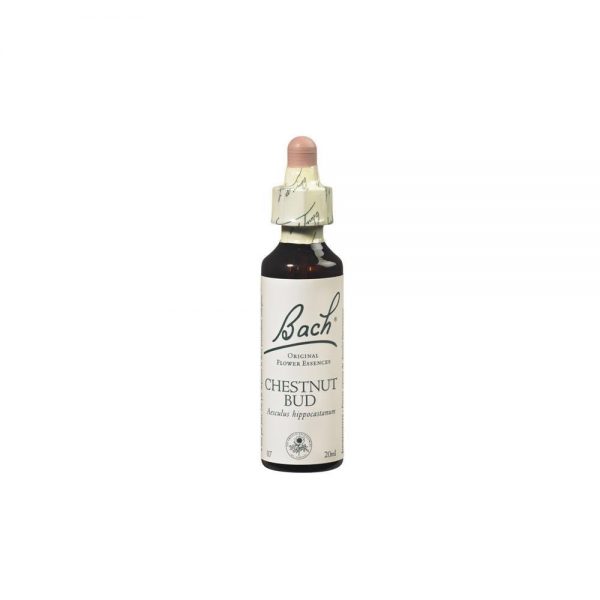 Florais de Bach Chestnut Bud 20 ml