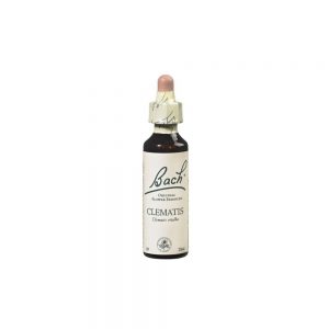 Florais de Bach Clematis 20 ml