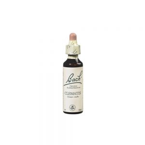 Florales de Bach Clematis 20 ml