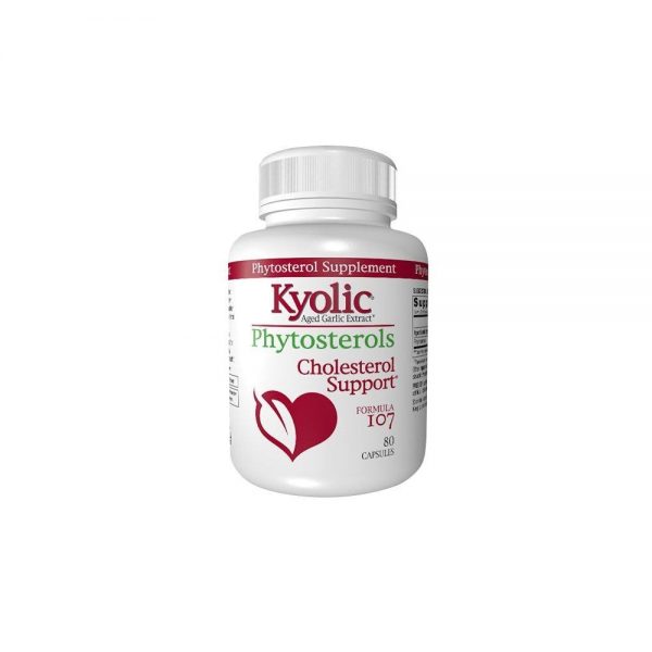 Kyolic 107 - Colesterol 80 cápsulas