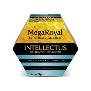 Megaroyal intellectus