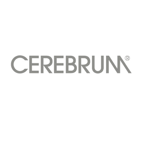 Cerebrum