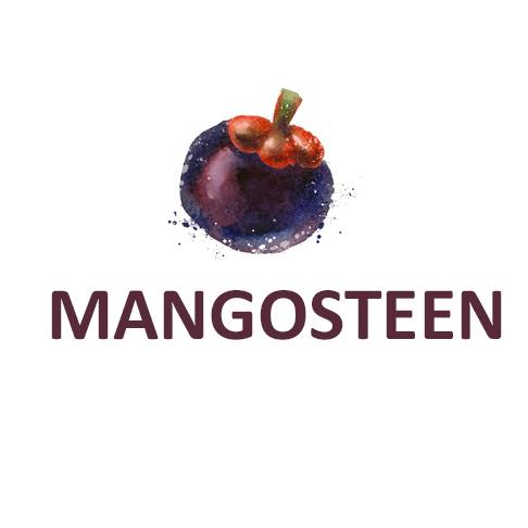 Mangosteen