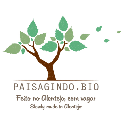 Paisagindo