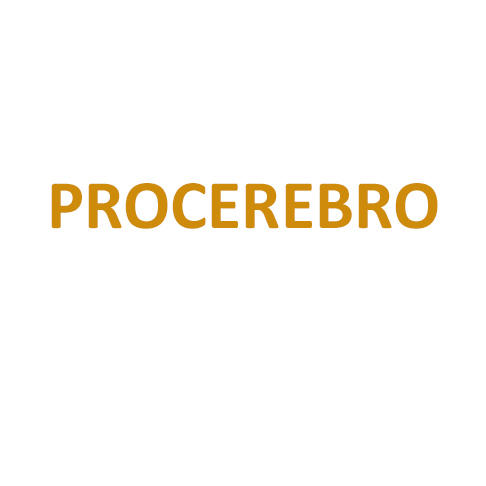 Procerebro