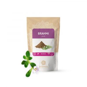 Brahmi em Pó 125 g - BioSamara