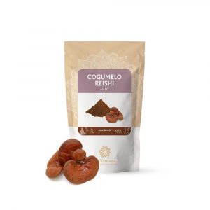 Cogumelo Reishi em pó 100g - BioSamara