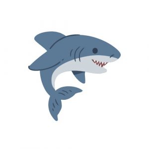 Cartilagem de Tubarão