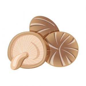 Cogumelo Shitake