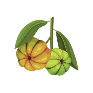 Garcinia Cambogia