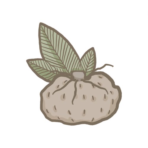Glucomanano