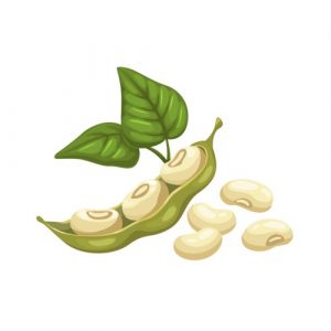 Isoflavonas de Soja
