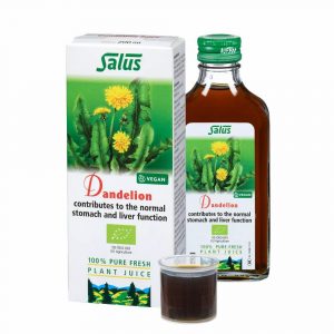 Dente de Leão da marca Salus