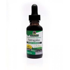 Ashwagandha - Extrato Líquido S/Álcool 30ml - Natures Answer