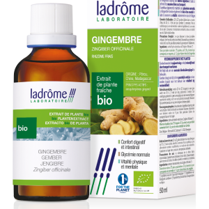 Jengibre - Extracto hidroalcohólico 50ml - Ladrôme