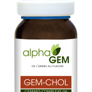 Gem-Chol, Complexo 6 Colesterol - 15ml - Alphagem