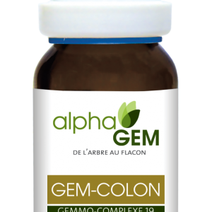 Gem-Colli, Complexo nº19 Conforto intestinal - 15ml - Alphagem