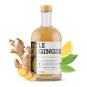 Gengibre 500 ml - Gopy
