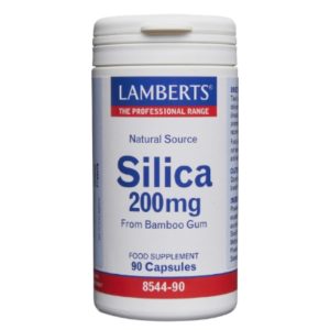 Silicio 200 mg 90 cápsulas - Lamberts