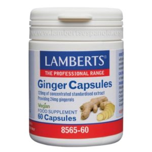 Gengibre 120 mg 60 cápsulas - Lamberts